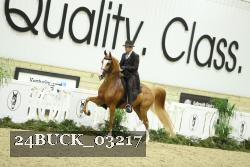 24BUCK_03217 proof