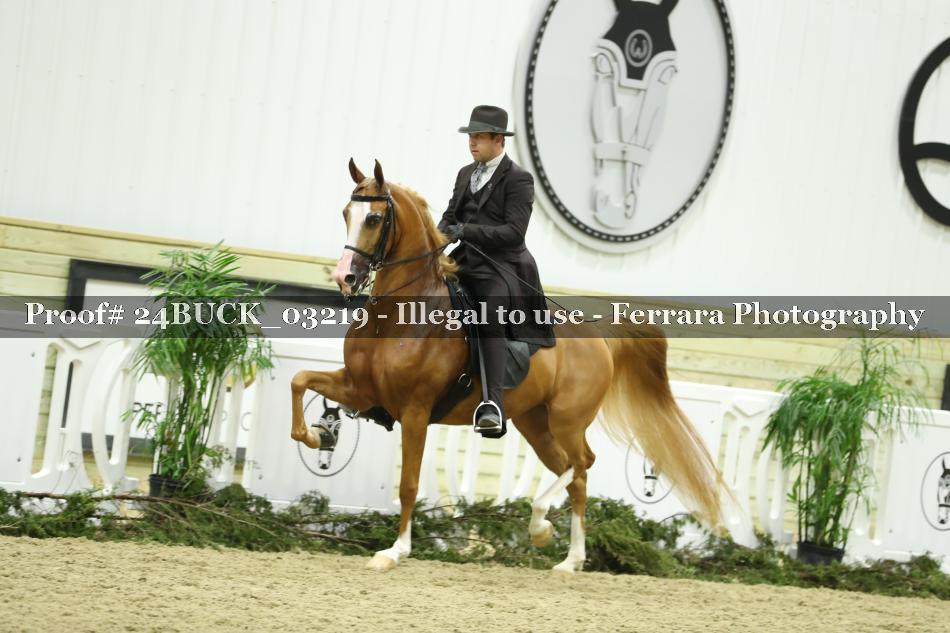 Proof 24BUCK_03219