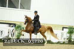 24BUCK_03220 proof