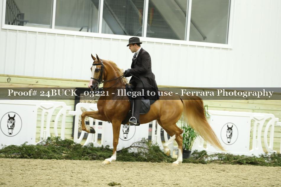 Proof 24BUCK_03221