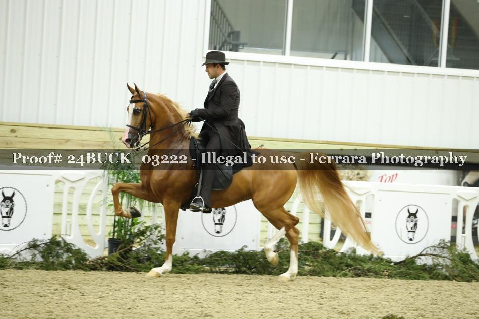 Proof 24BUCK_03222