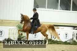 24BUCK_03222 proof