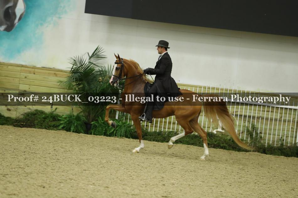 Proof 24BUCK_03223
