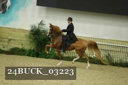 24BUCK_03223 proof