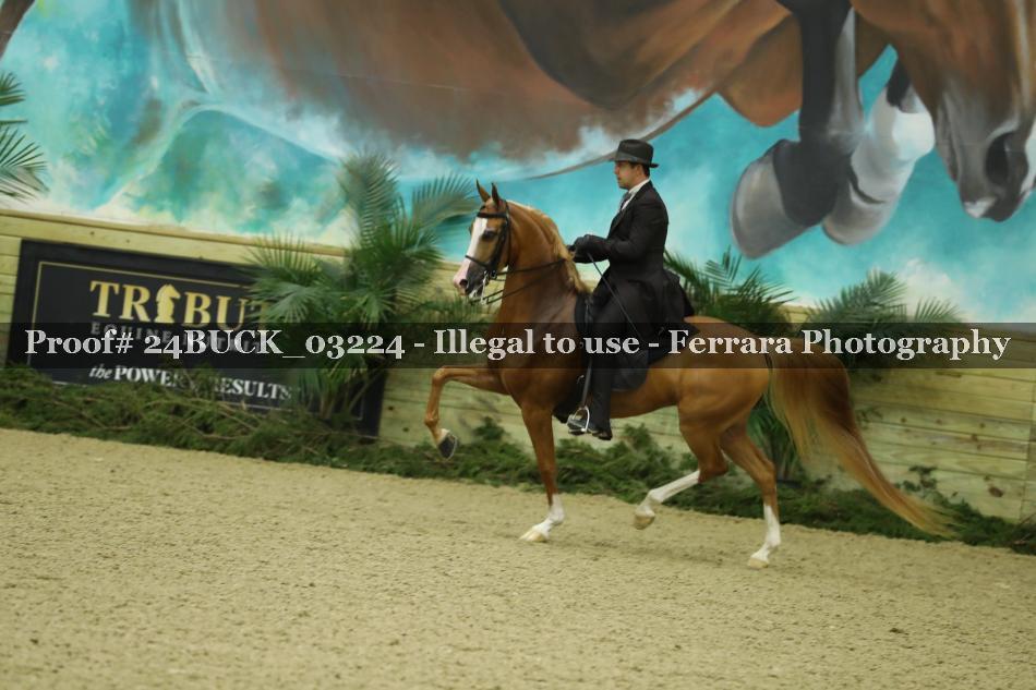 Proof 24BUCK_03224