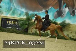 24BUCK_03224 proof