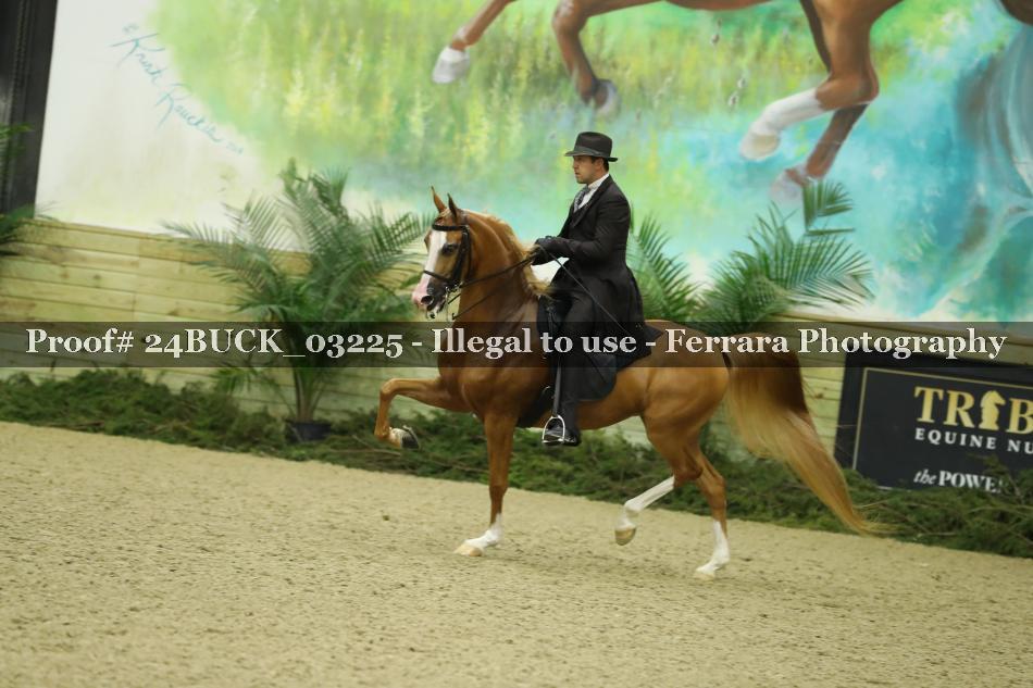 Proof 24BUCK_03225
