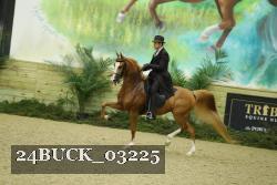 24BUCK_03225 proof