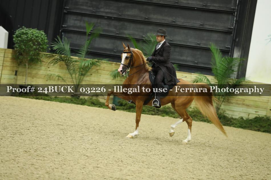Proof 24BUCK_03226