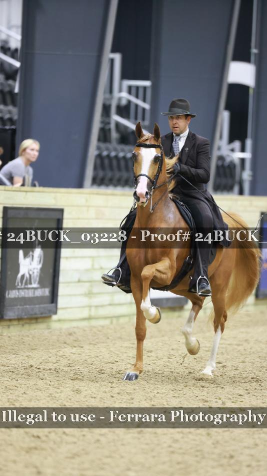 Proof 24BUCK_03228