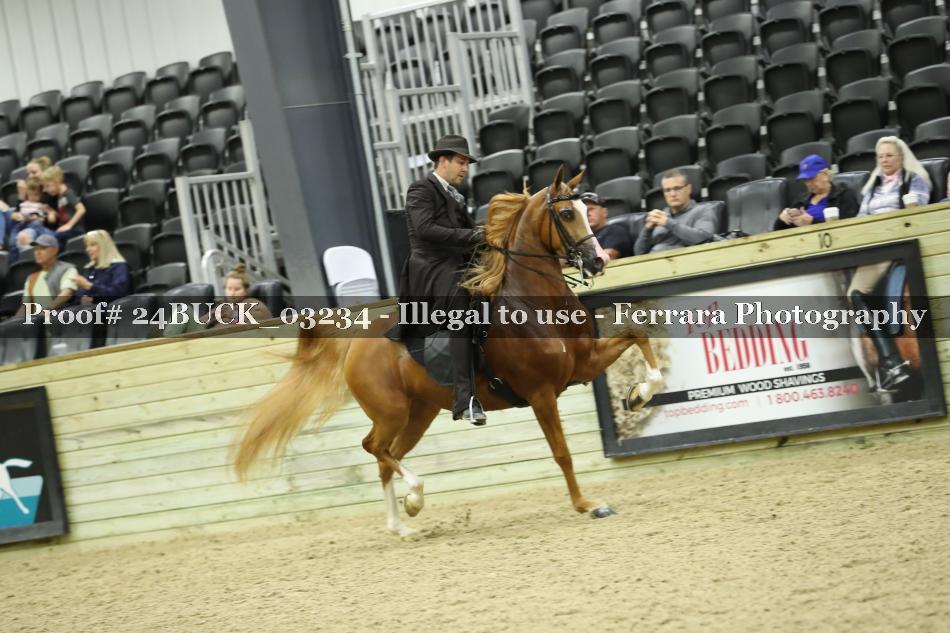Proof 24BUCK_03234