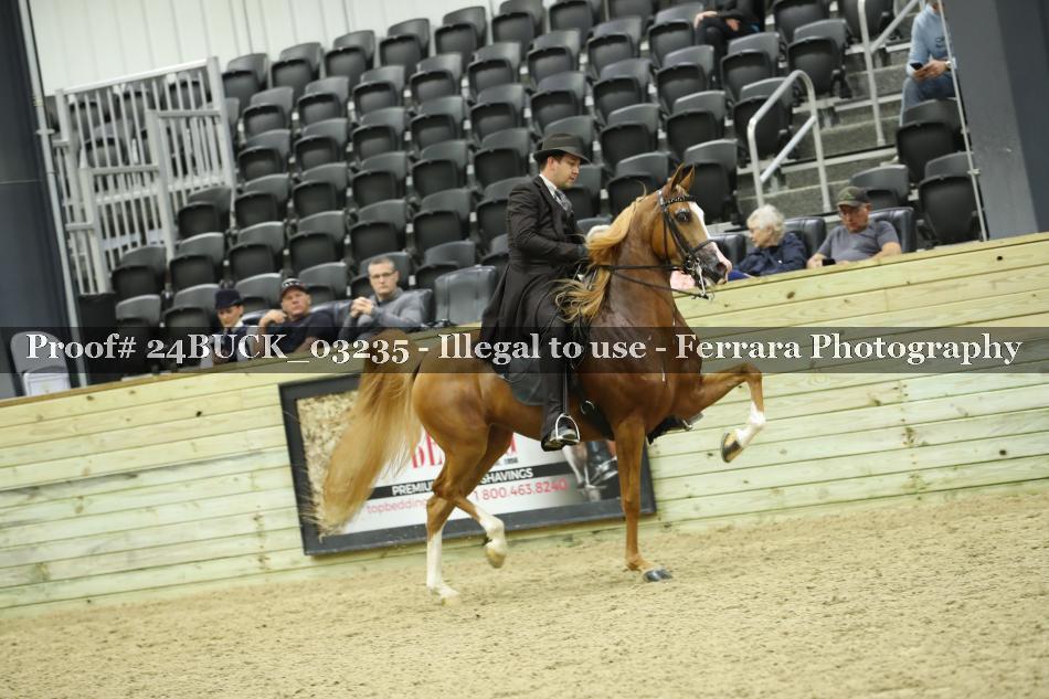 Proof 24BUCK_03235