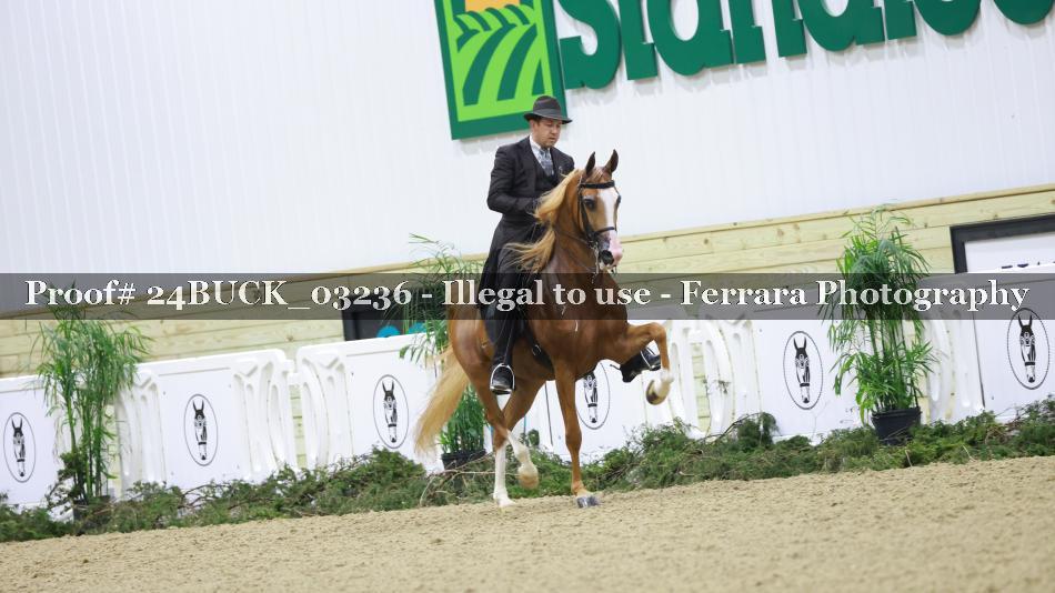 Proof 24BUCK_03236