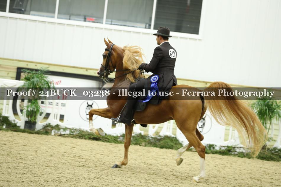 Proof 24BUCK_03238