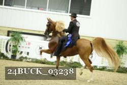 24BUCK_03238 proof