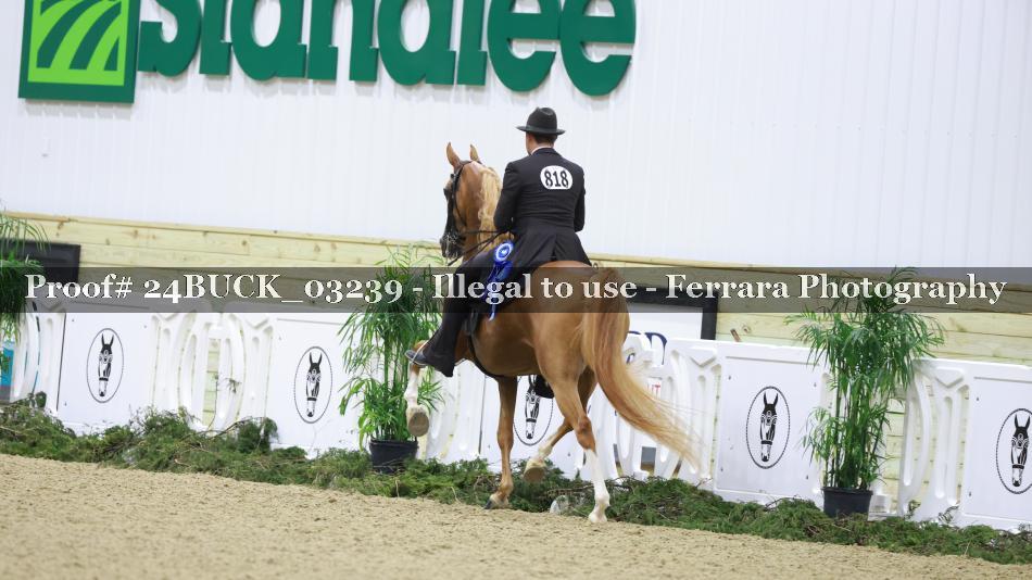 Proof 24BUCK_03239
