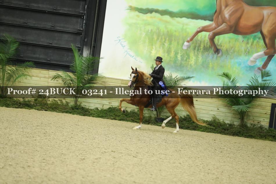 Proof 24BUCK_03241