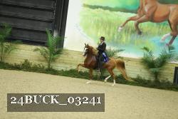 24BUCK_03241 proof