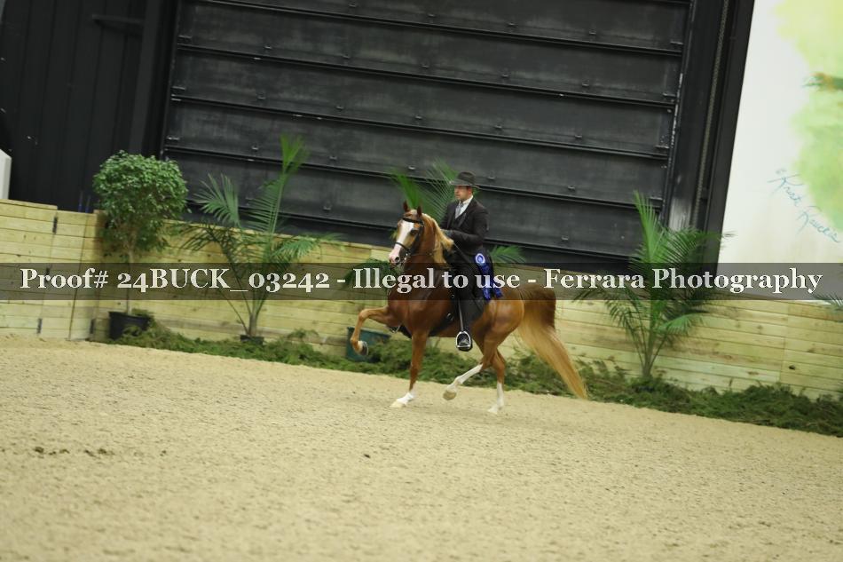 Proof 24BUCK_03242