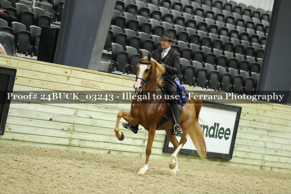 Proof 24BUCK_03243