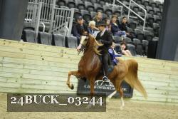 24BUCK_03244 proof