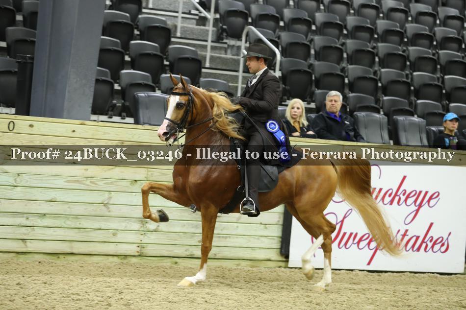 Proof 24BUCK_03246