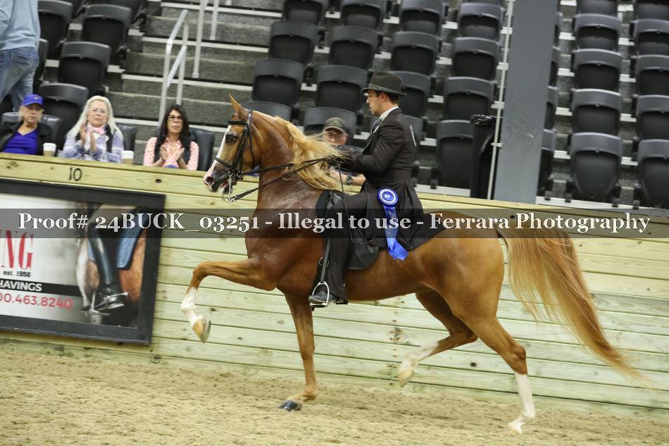 Proof 24BUCK_03251