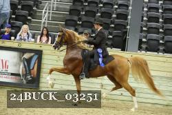 24BUCK_03251 proof