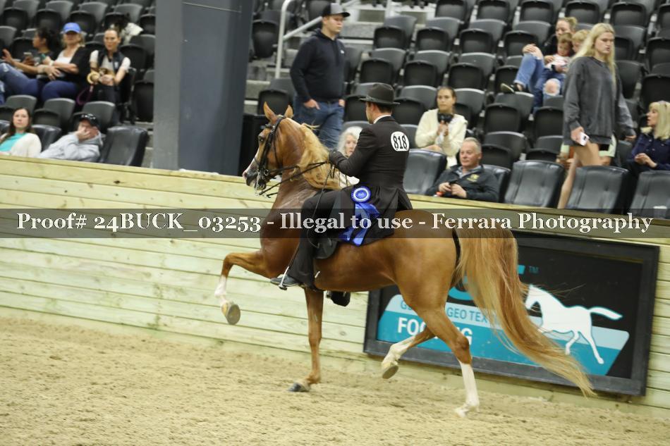 Proof 24BUCK_03253