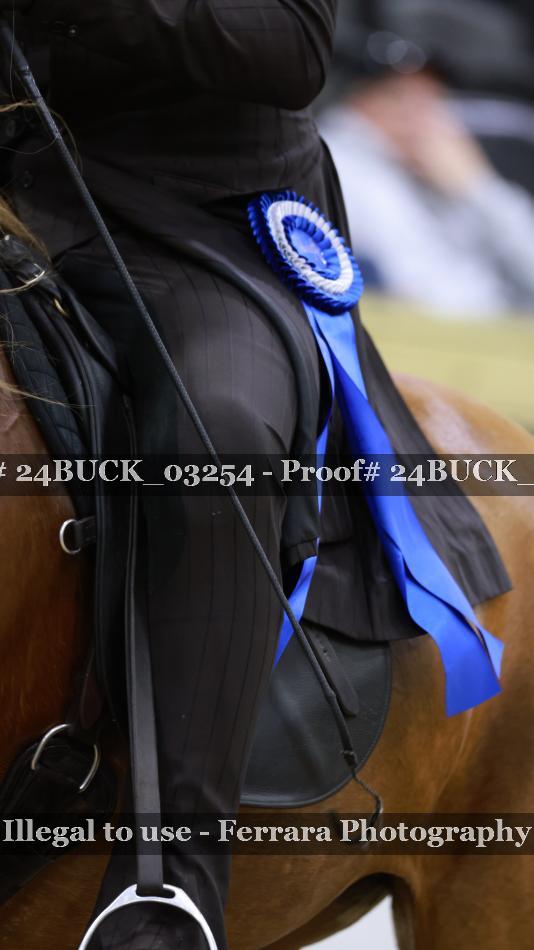 Proof 24BUCK_03254