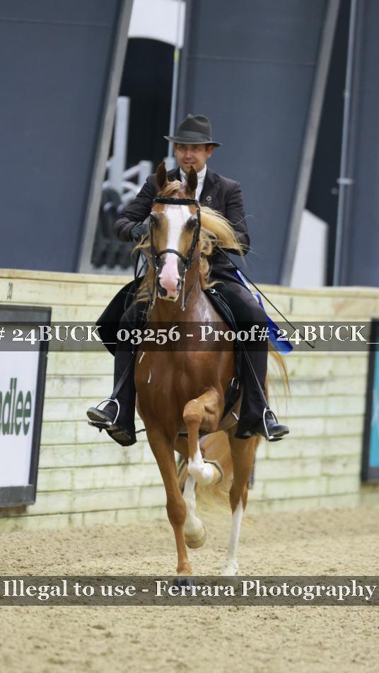 Proof 24BUCK_03256