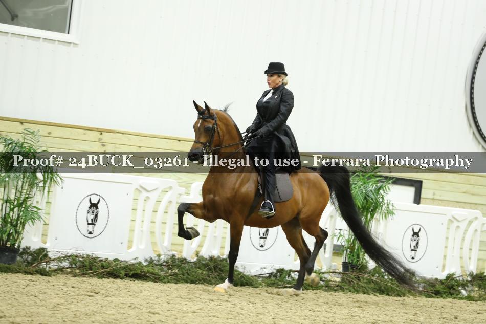 Proof 24BUCK_03261