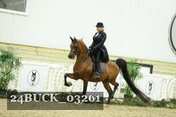 24BUCK_03261 proof