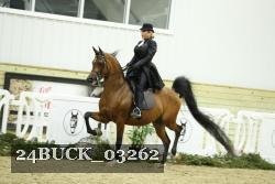 24BUCK_03262 proof