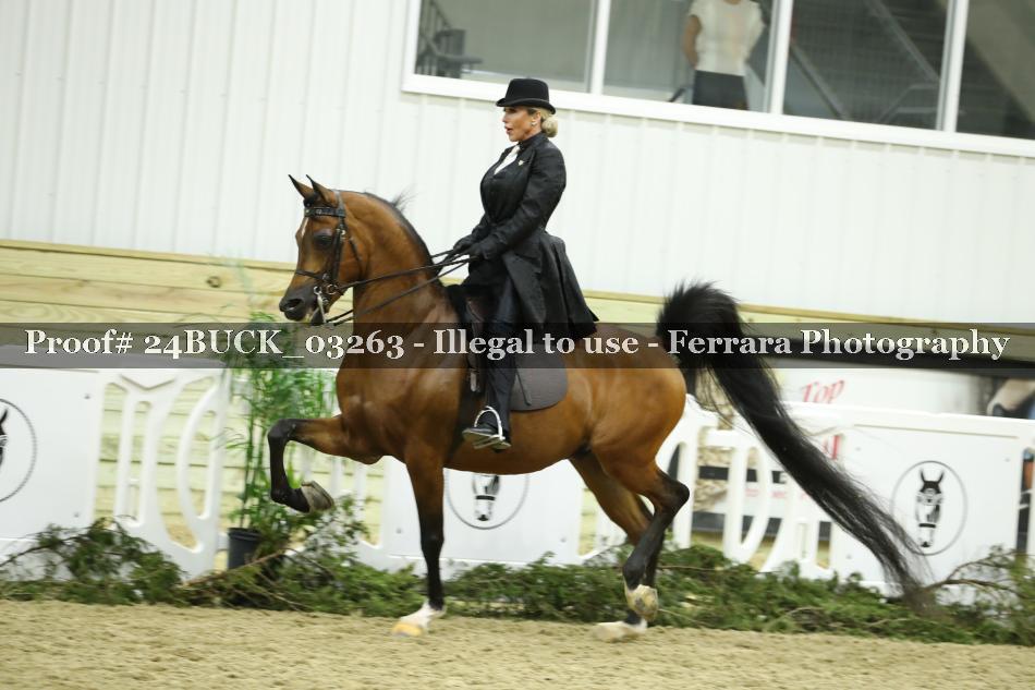 Proof 24BUCK_03263