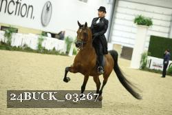 24BUCK_03267 proof
