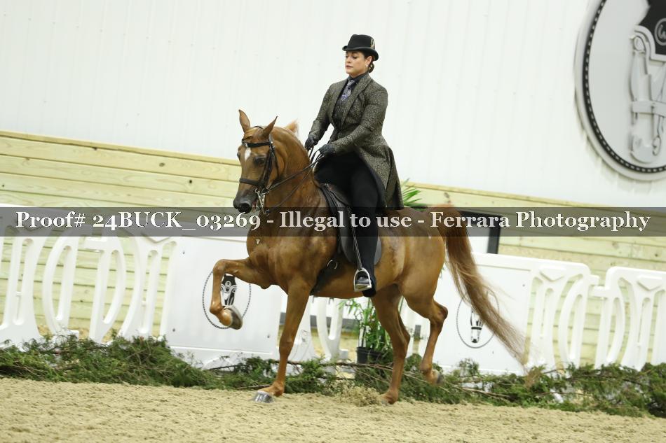 Proof 24BUCK_03269