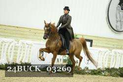 24BUCK_03269 proof