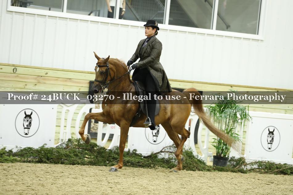 Proof 24BUCK_03270