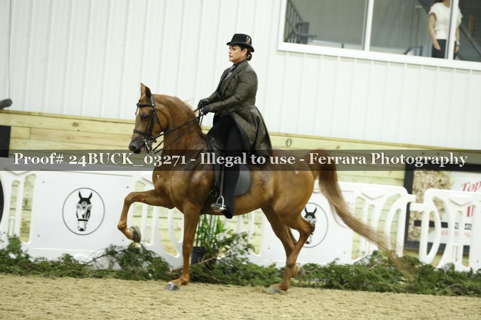 Proof 24BUCK_03271