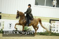 24BUCK_03271 proof