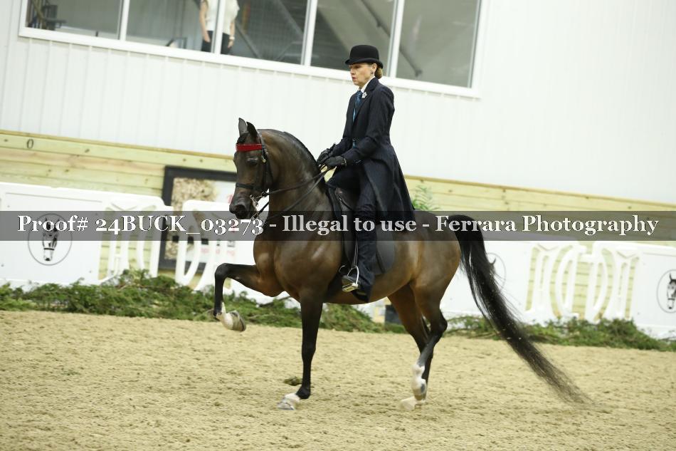 Proof 24BUCK_03273
