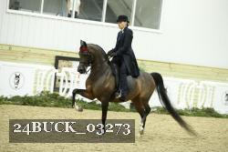 24BUCK_03273 proof