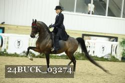 24BUCK_03274 proof