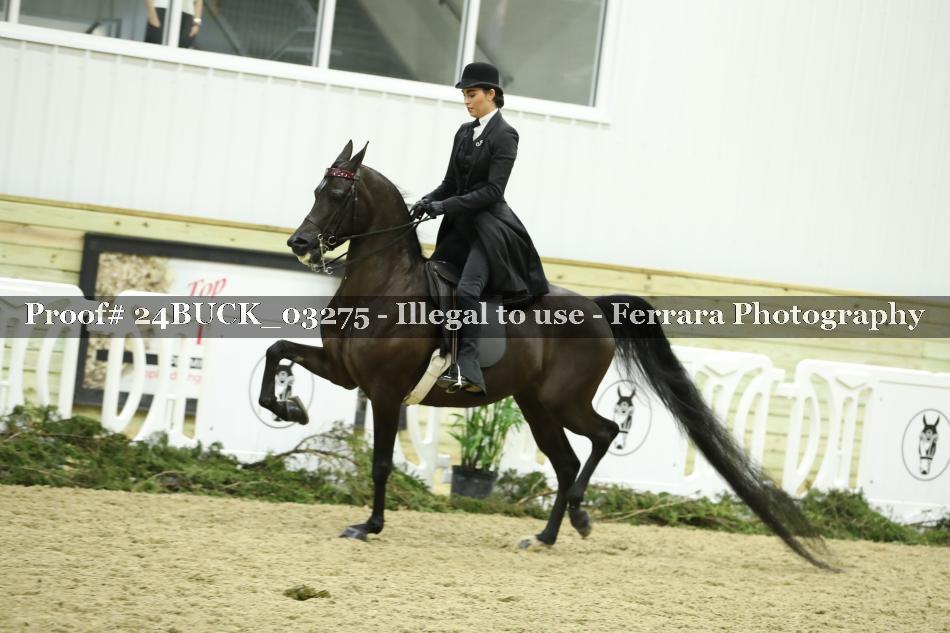 Proof 24BUCK_03275