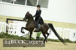 24BUCK_03275 proof