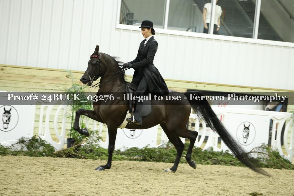 Proof 24BUCK_03276