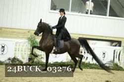 24BUCK_03276 proof