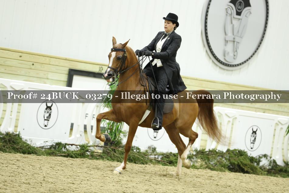Proof 24BUCK_03279