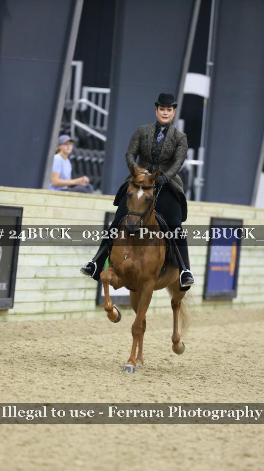 Proof 24BUCK_03281